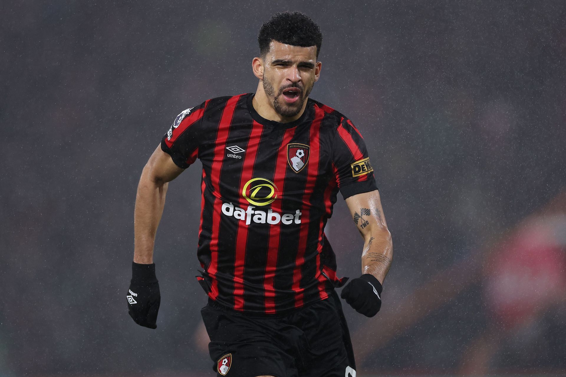 Dominic Solanke has been one of the Premier League's in-form frontmen.